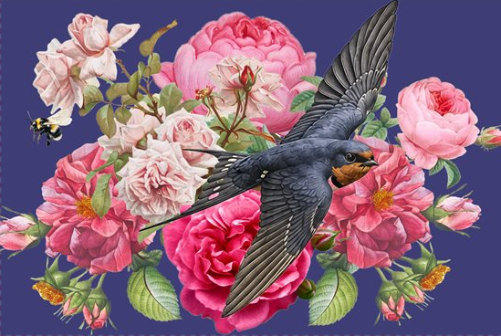 Swallow in Flight Pillowcase