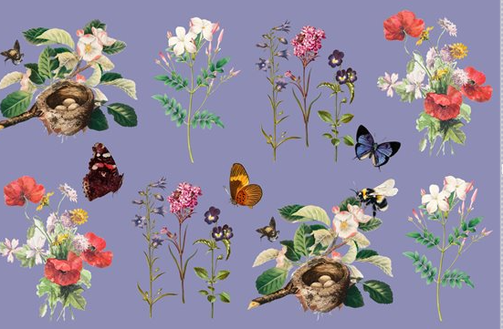 Sweet Meadow Pillowcase