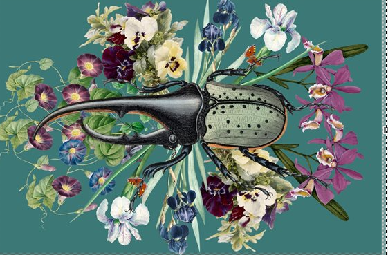 Beetle Bling Pillowcase