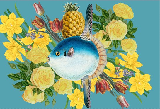 Sunfish Array Pillowcase