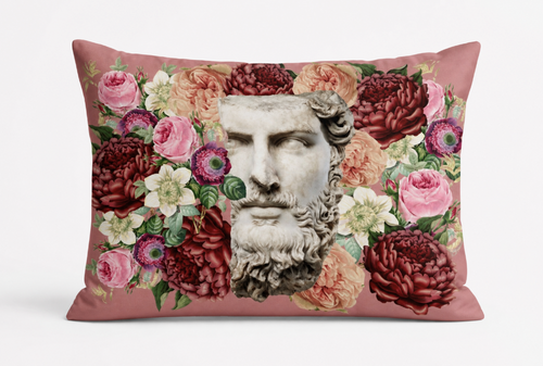 Lucius Versus Pillowcase